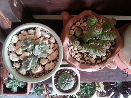 20140520_170433_����.jpg