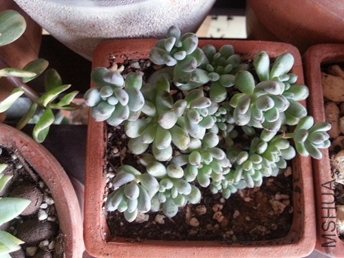 20140520_170507_����.jpg