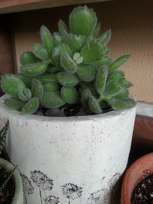 20140520_170548_����.jpg