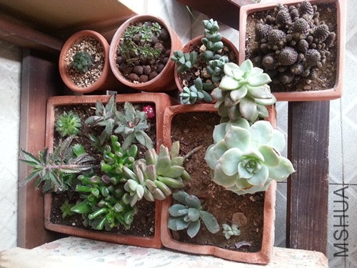 20140520_170600_����.jpg