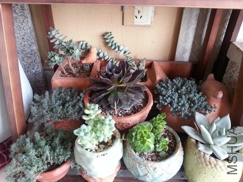 20140520_170613_����.jpg