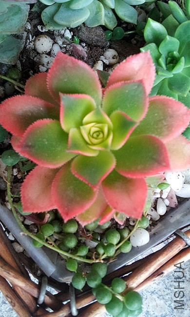 6_����.jpg