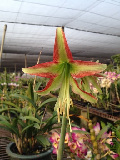 2014.04.04  ��Ӱ_1_�{����С.jpg