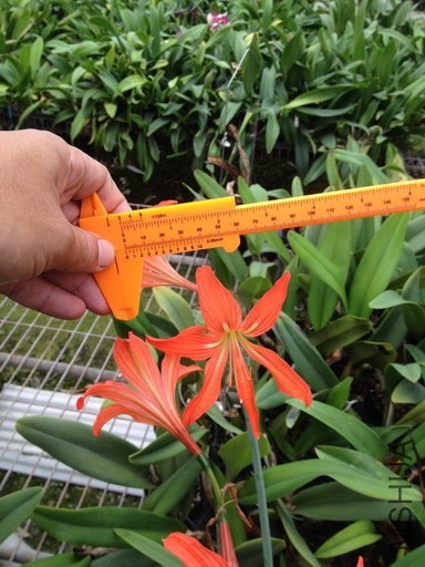 С�� 2_�{����С.jpg