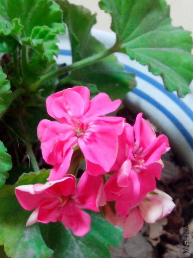 QQͼƬ20140527033838.jpg