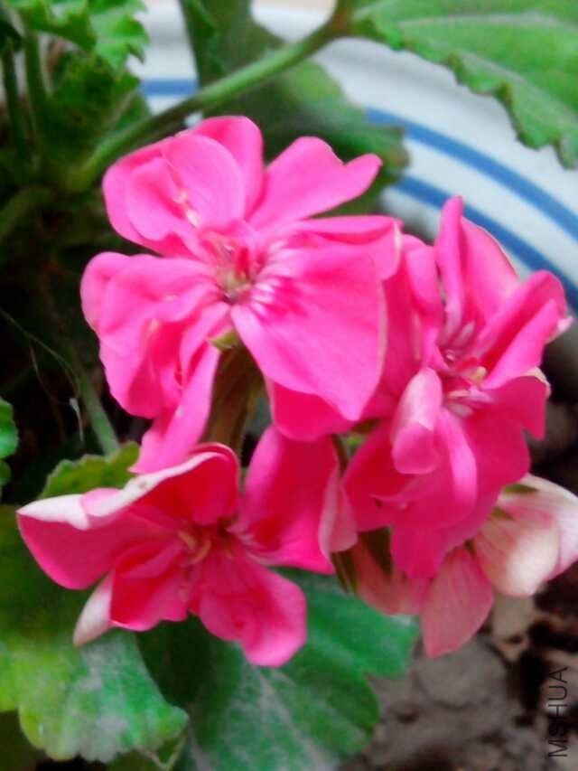 QQͼƬ20140527033829.jpg