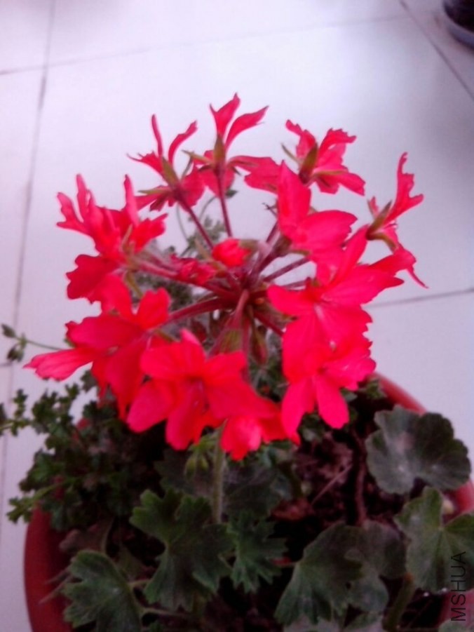 QQͼƬ20140527033126.jpg