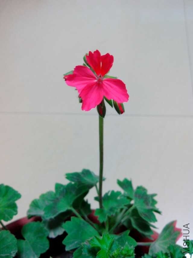 QQͼƬ20140527033847.jpg