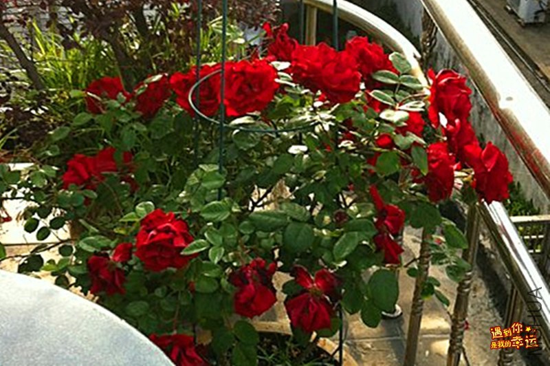 psb (01)_����.jpg