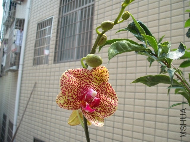 ��Ǯ��