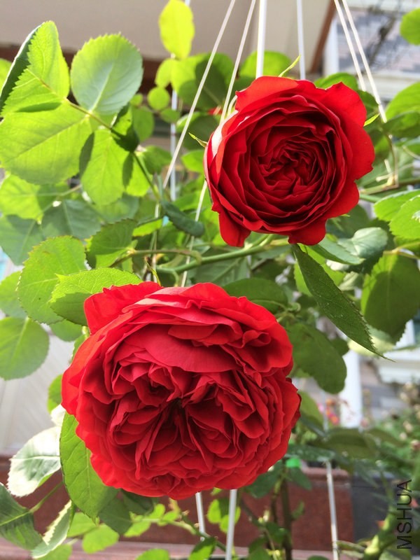 ��  ��  ��.JPG