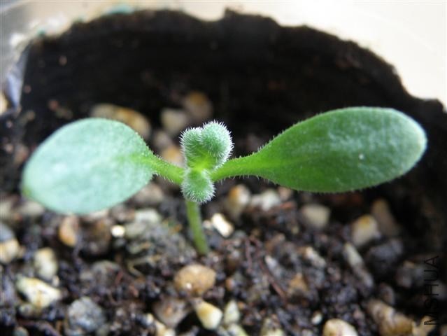 PC133928.JPG