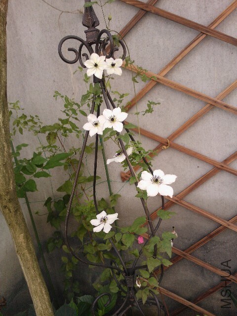 QQͼƬ20140528085020.jpg