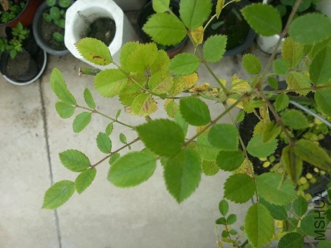 20140528_080501.jpg