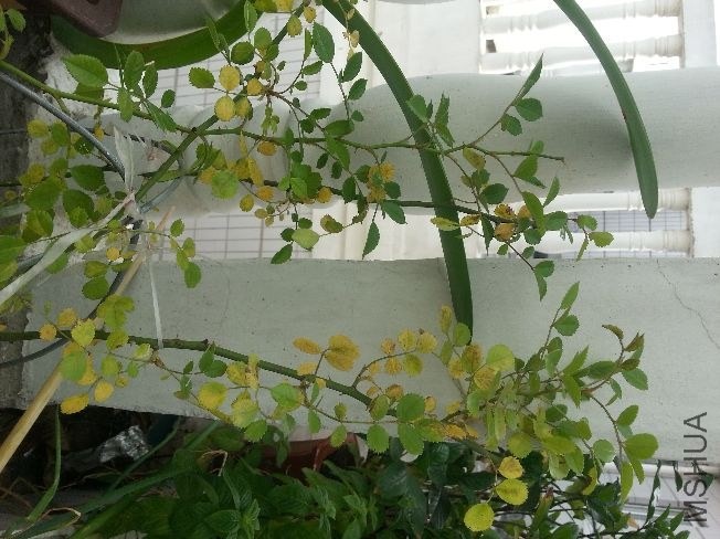 20140528_080548.jpg
