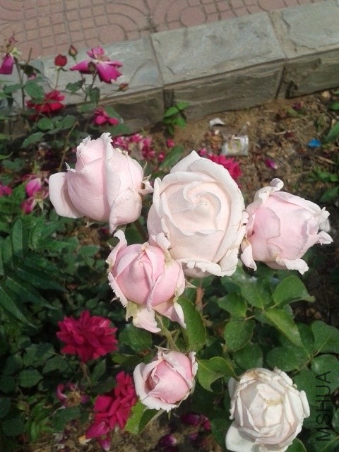 20140520_130910.jpg