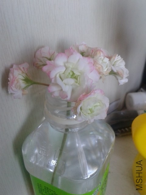 20140528_083557.jpg
