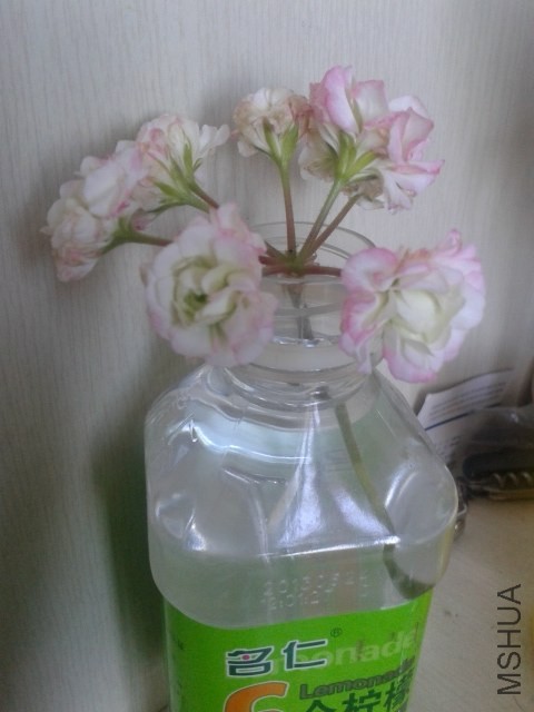 20140528_083619.jpg