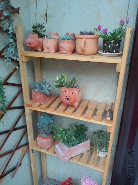 �������