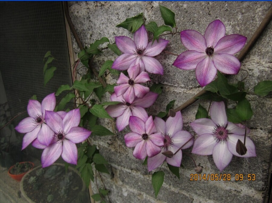 QQͼƬ20140528101658.jpg