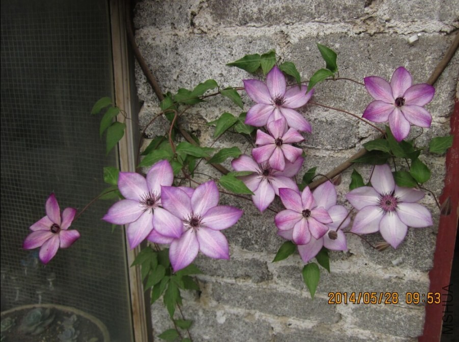 QQͼƬ20140528101700.jpg