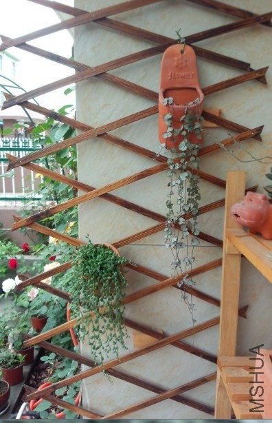 ���Ⱞ֮����������