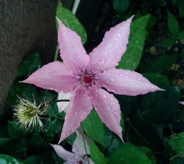 ��������