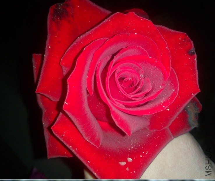 �¼����ش���