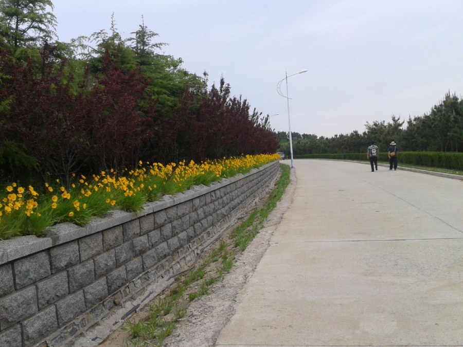 2014-05-24 11.08.31.jpg