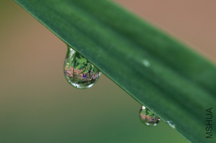 ˮ��ӳ��1.JPG