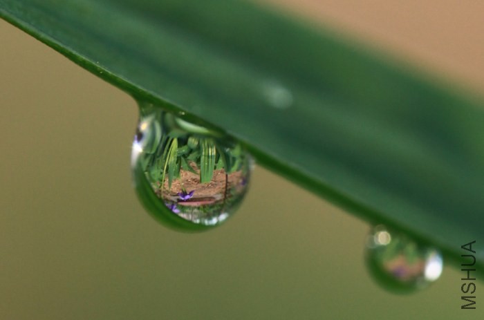 ˮ��ӳ��3.JPG