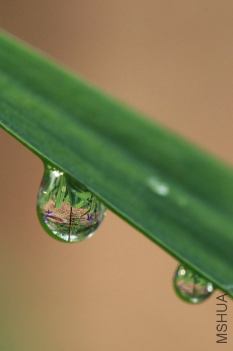 ˮ��ӳ��4.JPG