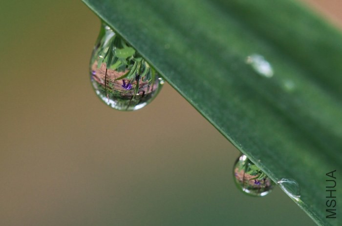 ˮ��ӳ��5.JPG