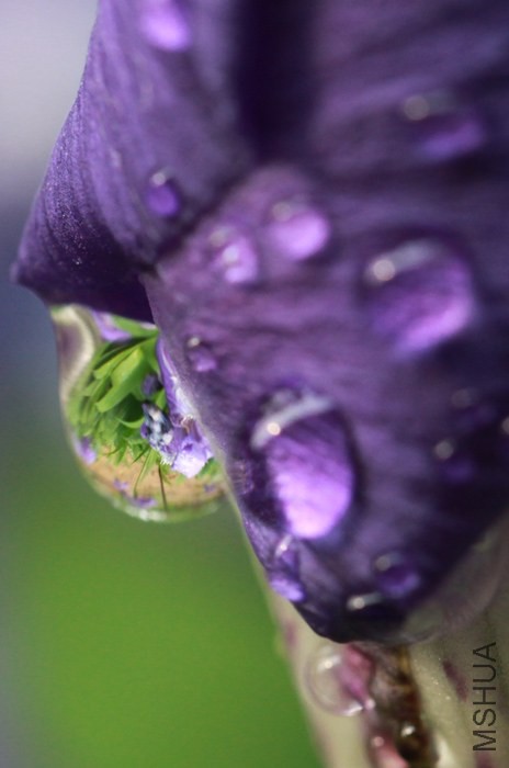 ˮ��ӳ��7.JPG