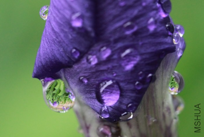 ˮ��ӳ��8.JPG