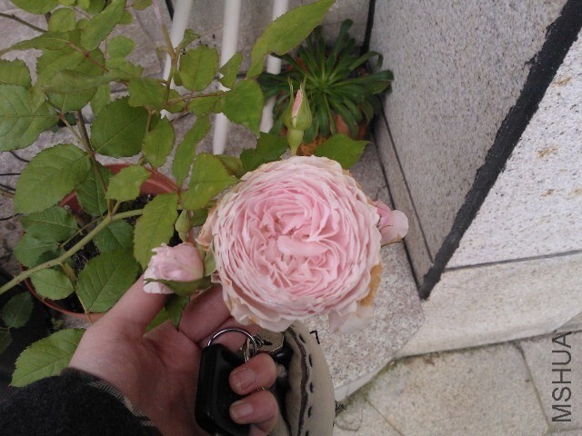QQͼƬ20140529121304.jpg