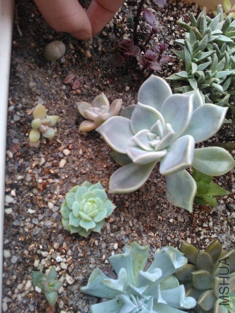 QQͼƬ20140529121327.jpg