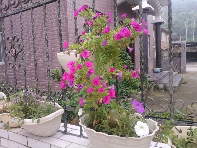 QQͼƬ20140529121334.jpg