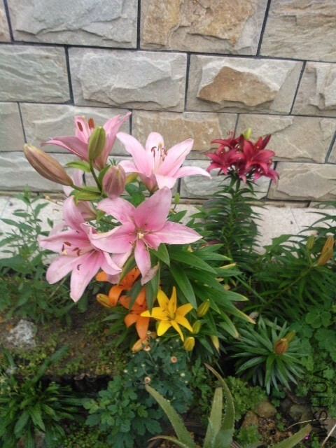 QQͼƬ20140529121341.jpg