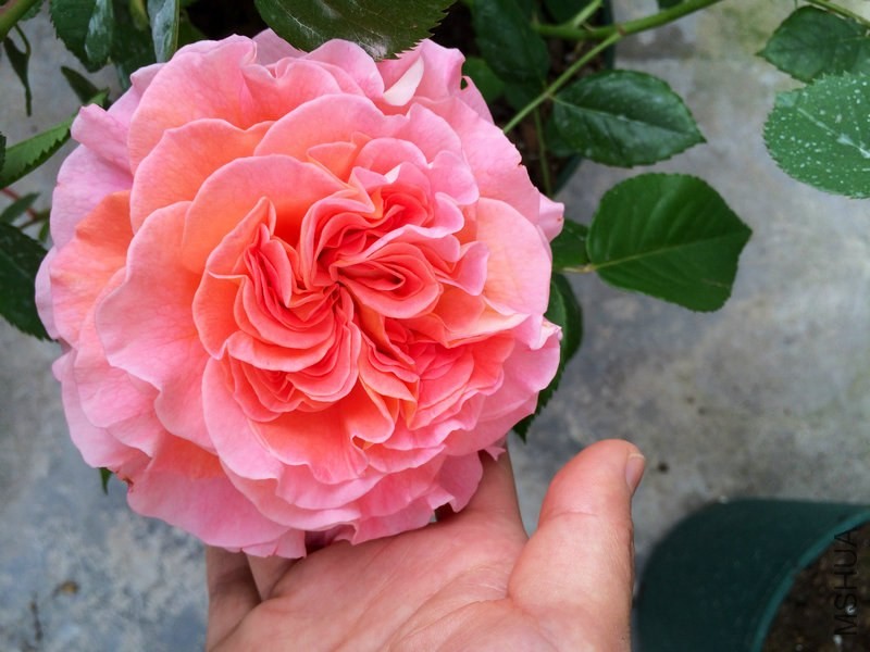 �¹� ˹��  .JPG