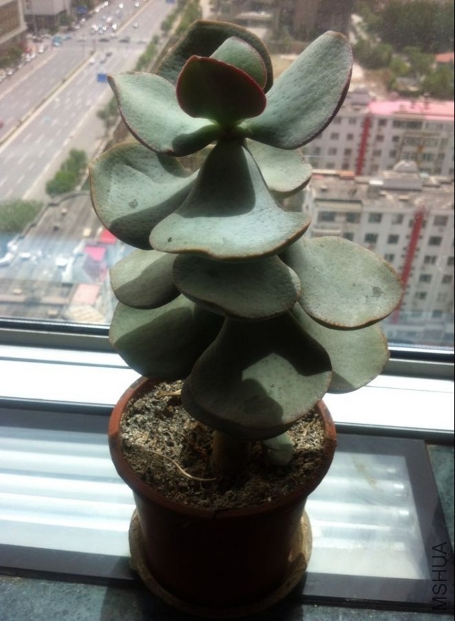 QQͼƬ20140527121400.jpg