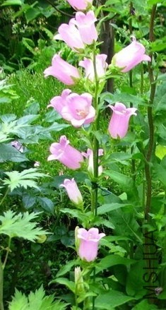 QQͼƬ20140529153051.jpg
