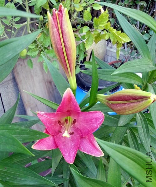 �ٺ�20140530B.jpg