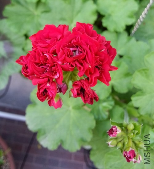 ���ÿ�������20140530B.jpg