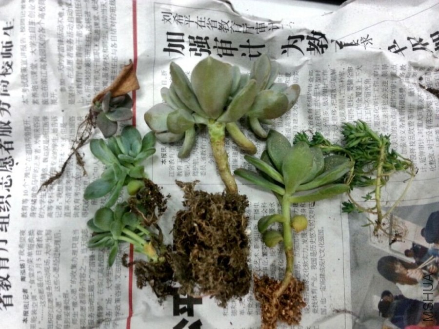 QQͼƬ20140530130013.jpg