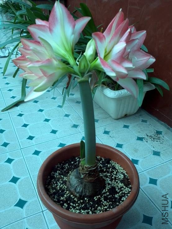 image002.jpg