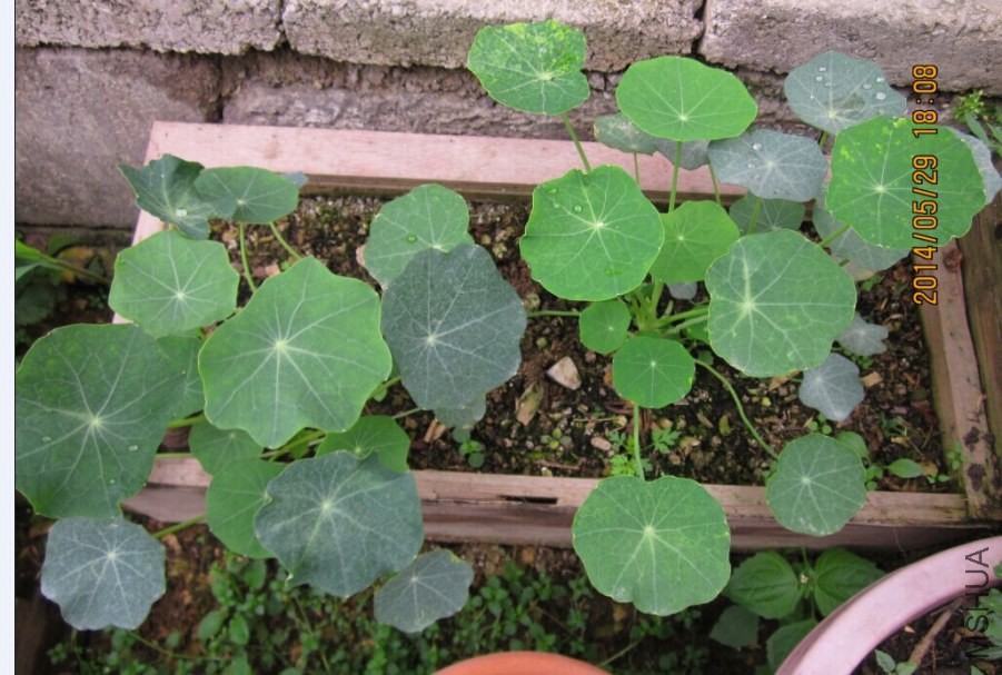 QQͼƬ20140530143518.jpg