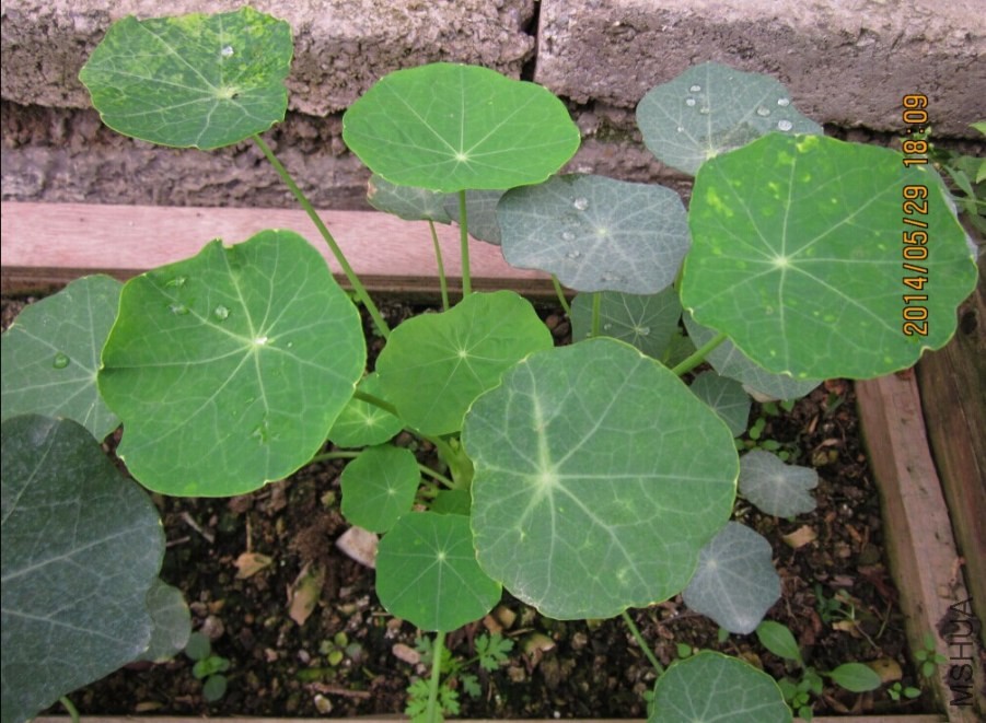 QQͼƬ20140530143531.jpg
