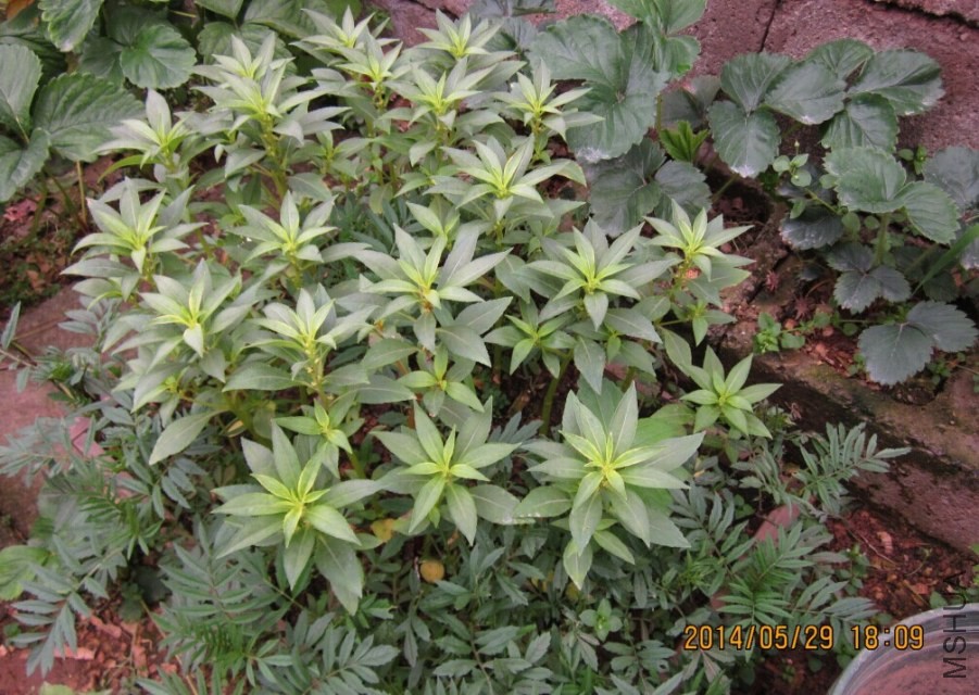 QQͼƬ20140530143545.jpg