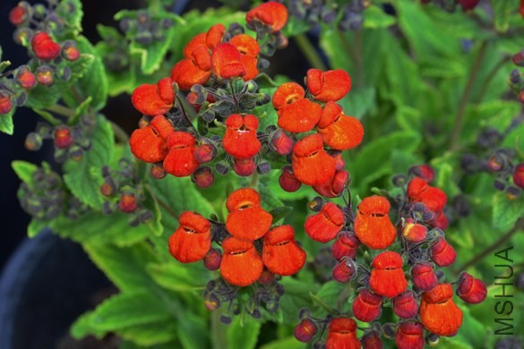_DSC0190_edited-1.jpg